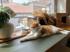 -花道寿司·料理(东城店)