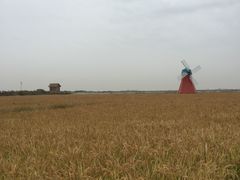 -红海滩国家风景廊道