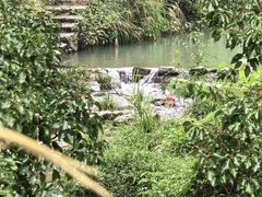 -黄檀硐景区