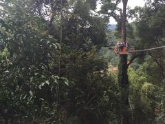 -清迈丛林飞跃 JungleFlight
