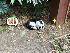 -灵谷景区
