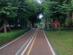 -炮台山公园