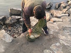 -人民防洪胜利纪念塔