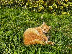 -三利音·浦之舟(滨江大道店)