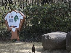 -黄兴公园