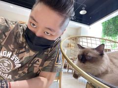 -藏猫猫咖啡主题馆(中央大道店)