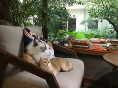 -咖法森林·咖啡  酒吧(天河店)