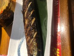 -三月居酒屋(青年大街店)