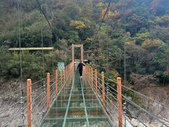 -燕子河大峡谷天坑仙境