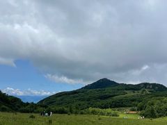 -白草畔自然风景区