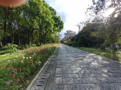 -上海滨江森林公园