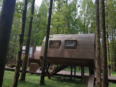 -黄海国家森林公园