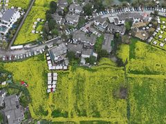 -桤木河湿地公园