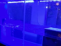 -盛焰铁板烧(王府井店)