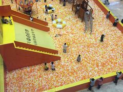 -亚马逊环球美食百汇(新城吾悦广场店)