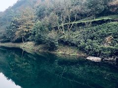 -桃花岭景区