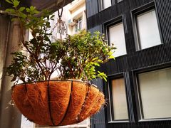 -麦奀云吞面世家(中环店)