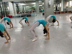 -舞蕾舞蹈(特长生校区)