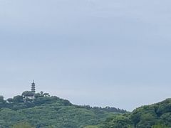 -苏州上方山国家森林公园