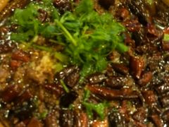 -曾牛肉
