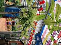 -南宫五洲植物乐园