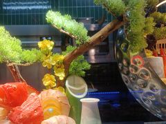 -阿伟海鲜楼·福建菜(延寿店)