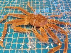 -宋园·金宴浙鲜馆(静安店)