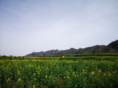 -沣峪口
