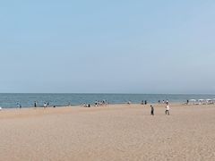 -海风酒吧 喝精酿 听民谣(阿那亚礼堂店)