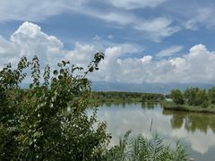 -野鸭湖国家湿地公园