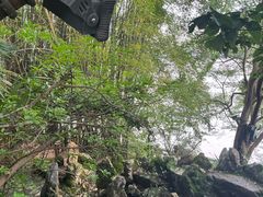 -江心屿景区