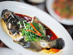 -道南書院·私房菜·早午茶·茶馆