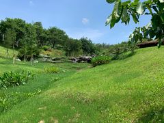 -东莞植物园