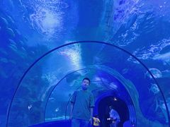 -左海海底世界