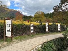 -塔川景区