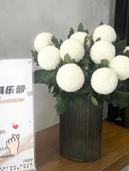 -蚂蚁造型俱乐部