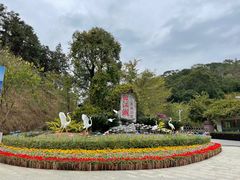 -广州白江湖森林公园