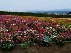 android_upload_pic-富田农场