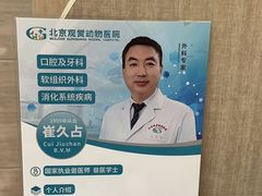 -北京观赏动物医院·24小时大型综合·猫专科·异宠专科