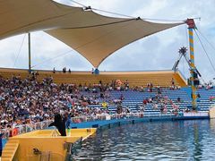 -秦皇岛乐岛海洋王国