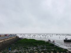 -奉贤海滩