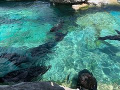 -珠海长隆海洋王国