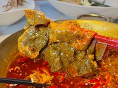 -小龙翻大江文化火锅(宽窄店)