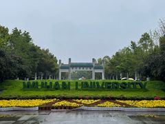 -武汉大学-樱园