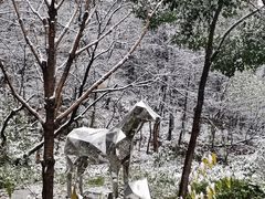 -南山植物园