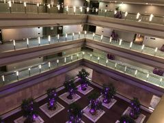 -南京禄口机场雅高铂尔曼大酒店