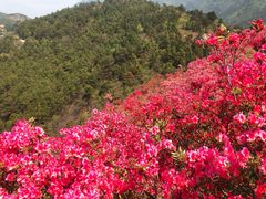 -木兰云雾山