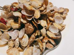 辣炒小蛤蜊-船歌·鱼水饺青岛菜(闽江二路店)
