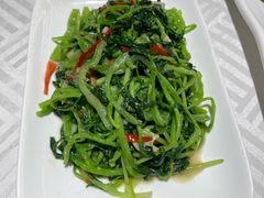 蒜茸鸡毛菜-粤秀小厨·广式早茶(辽宁路店)