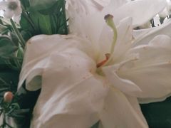 -席家花园(巨鹿花园店)